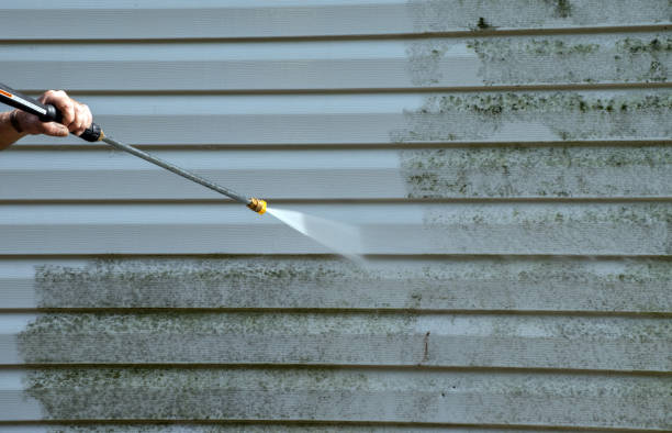 Best Building Exterior Washing  in East Bronson, FL