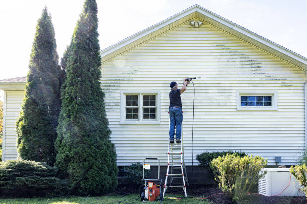 Best Sign and Awning Cleaning  in East Bronson, FL